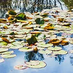 Hotel Domaine Les Saules Restaurant