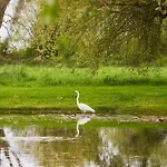 Domaine Les Saules Restaurant Hotel 3*