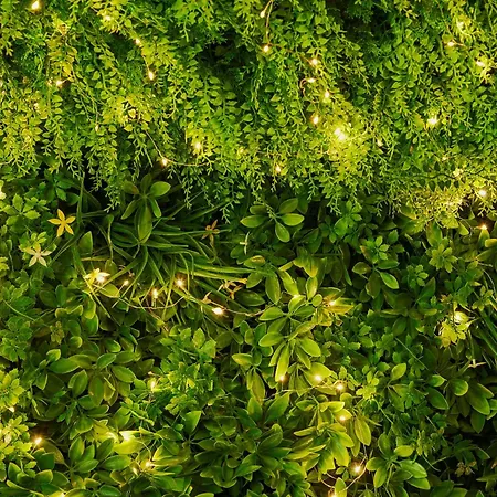 Les Saules Favières