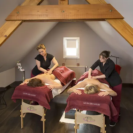 Domaine Les Saules Restaurant Hotel 3*