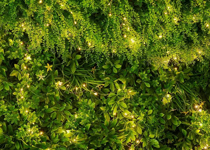 Les Saules Favières