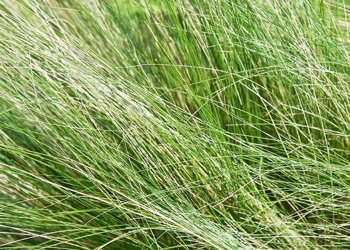 Les Saules Hotel Favieres (Somme)