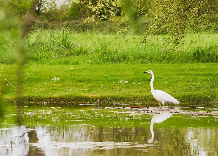 Les Saules Hotel Favières